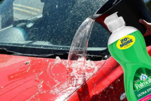 can i use palmolive to wash my car